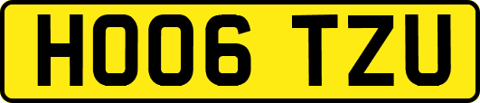HO06TZU