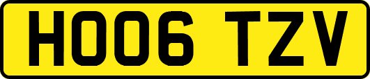 HO06TZV