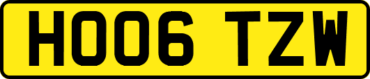 HO06TZW