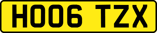 HO06TZX