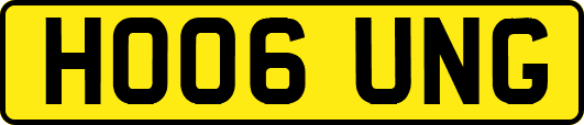 HO06UNG