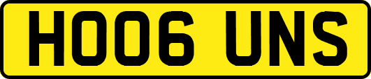 HO06UNS