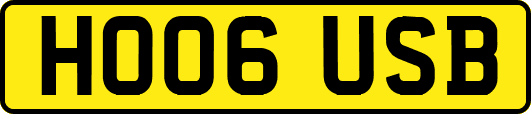 HO06USB