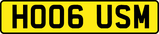 HO06USM
