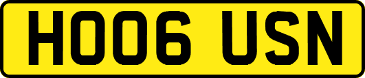 HO06USN
