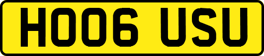 HO06USU