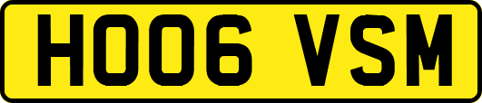 HO06VSM