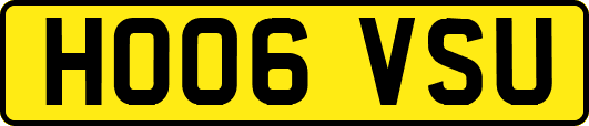 HO06VSU