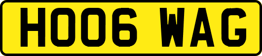 HO06WAG