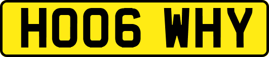 HO06WHY