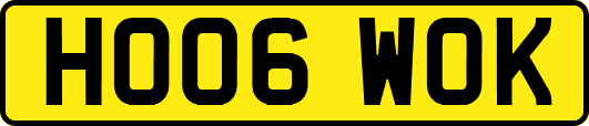 HO06WOK