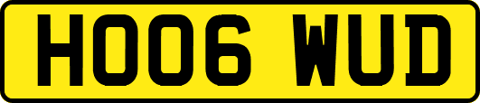 HO06WUD