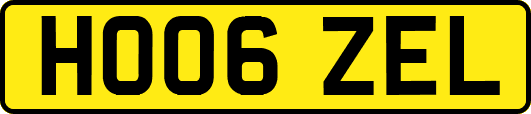 HO06ZEL