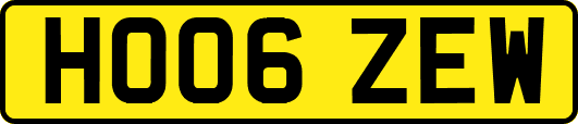 HO06ZEW