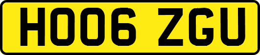 HO06ZGU