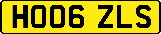 HO06ZLS