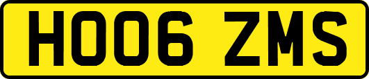 HO06ZMS