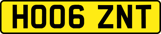 HO06ZNT