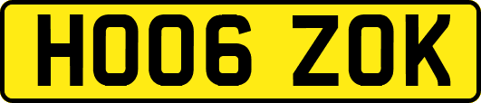 HO06ZOK