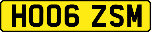 HO06ZSM