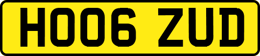 HO06ZUD
