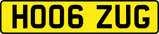 HO06ZUG