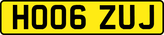 HO06ZUJ
