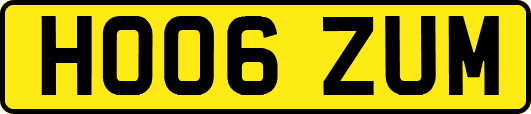 HO06ZUM