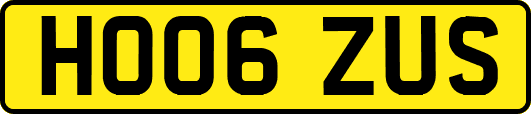 HO06ZUS