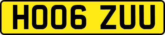 HO06ZUU