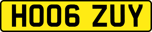 HO06ZUY
