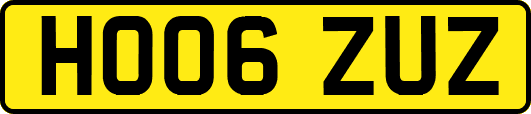 HO06ZUZ