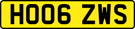 HO06ZWS