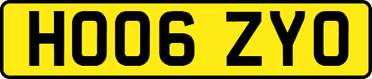 HO06ZYO