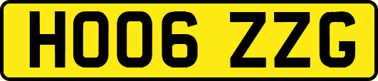 HO06ZZG