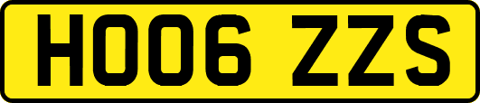 HO06ZZS