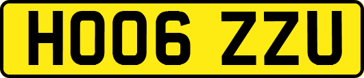 HO06ZZU