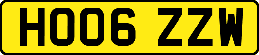 HO06ZZW