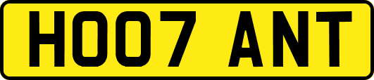 HO07ANT