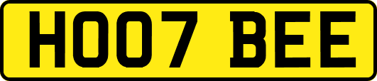 HO07BEE