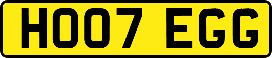 HO07EGG