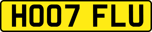 HO07FLU