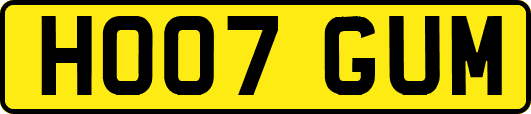 HO07GUM