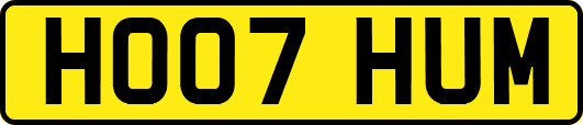 HO07HUM