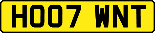 HO07WNT