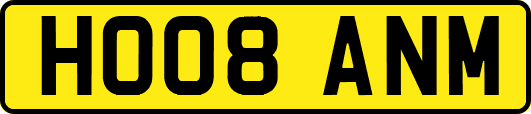 HO08ANM