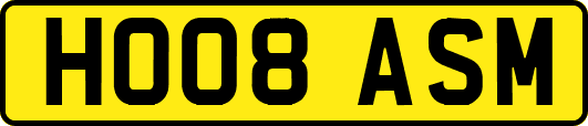 HO08ASM