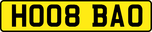 HO08BAO