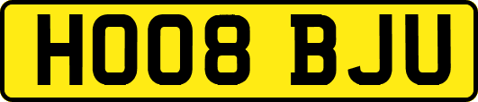 HO08BJU
