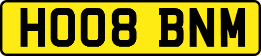 HO08BNM